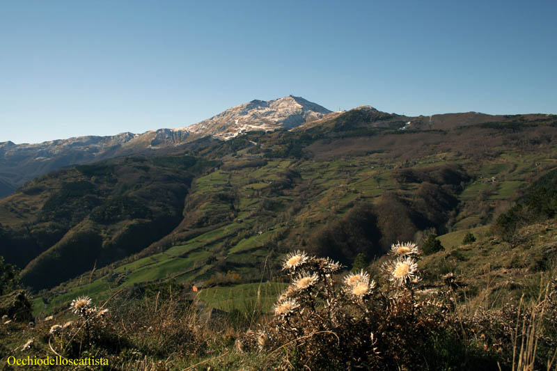 Image name: 03-monte cimone.jpg 
 width: 800 pixel 
 height: 533 pixel 
 Size: 86517 bytes 
 Click to enlarge 
